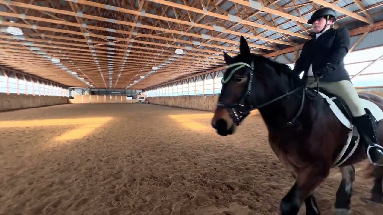 Laura and Dublin Cadora Walk Trot Test B February 2nd 2026
