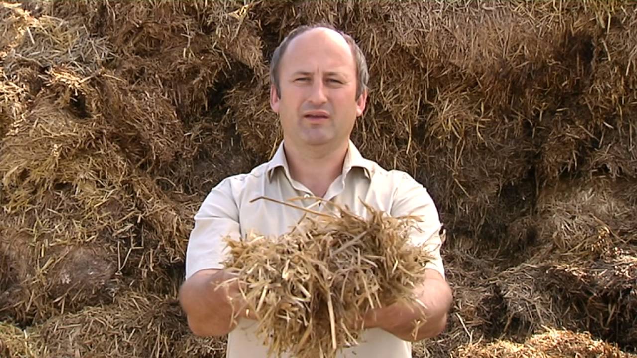 BioG Image mit Referenz klein