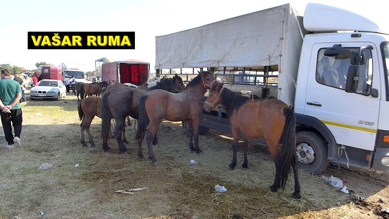 Vašar u Rumi - Rumski vašar