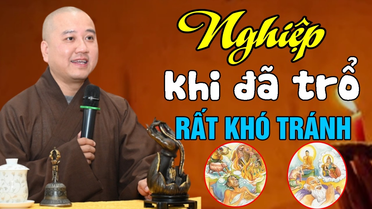 🔴NGHIỆP Khi Đã TRỔ Thì Khó Tránh...Sống Ch,ết Đã Có Số (Rất hay) | Thầy Thích Pháp Hòa
