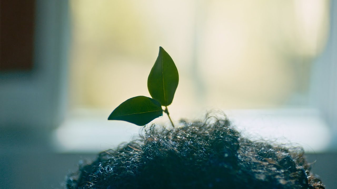 Plantasy | A Short Film