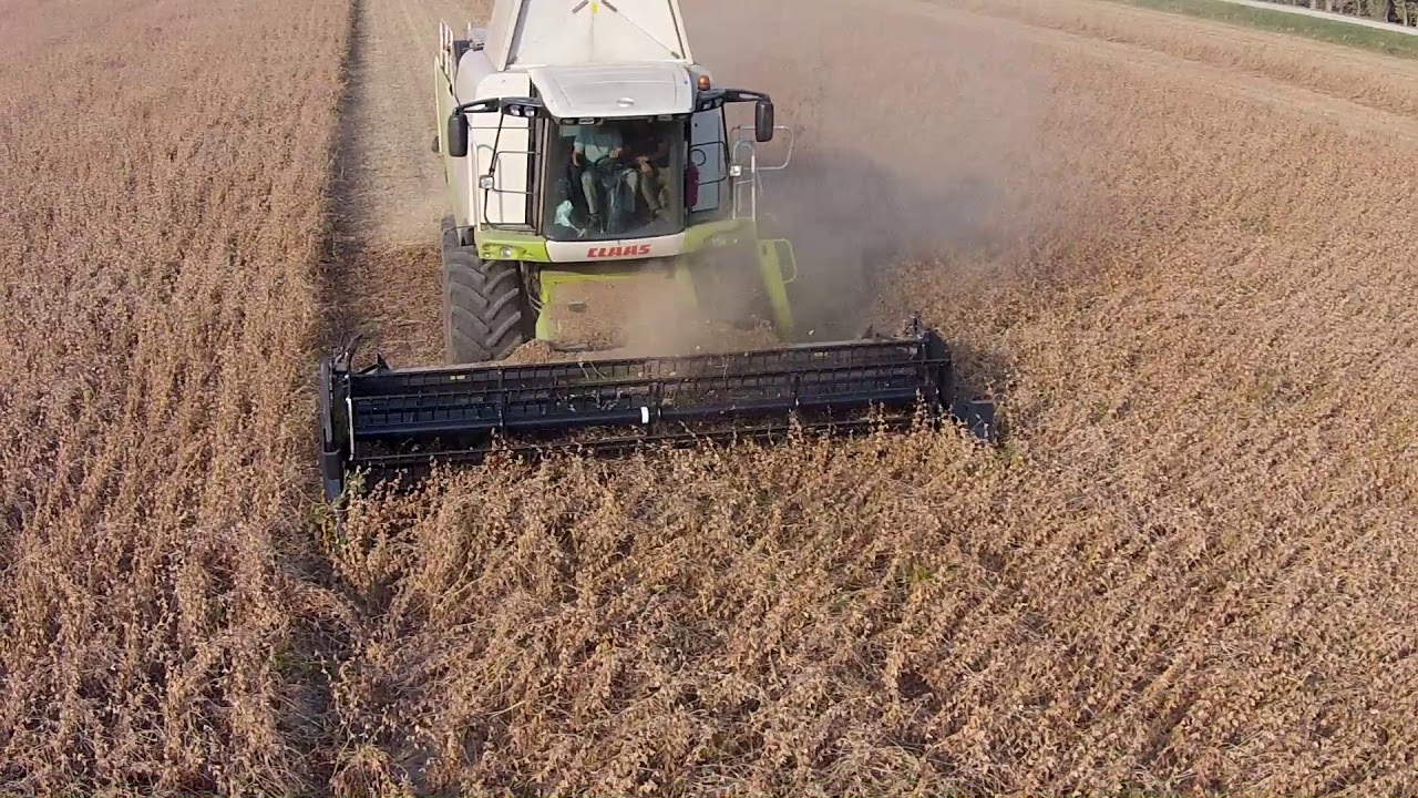DOMINONI TOP FLEX 610 LEXION 570