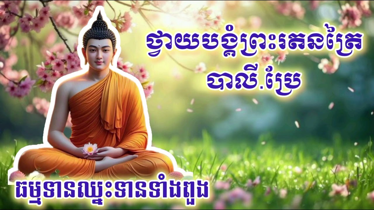 ថ្វាយបង្គំព្រះរតនត្រ័យ @chhayaneak1769 