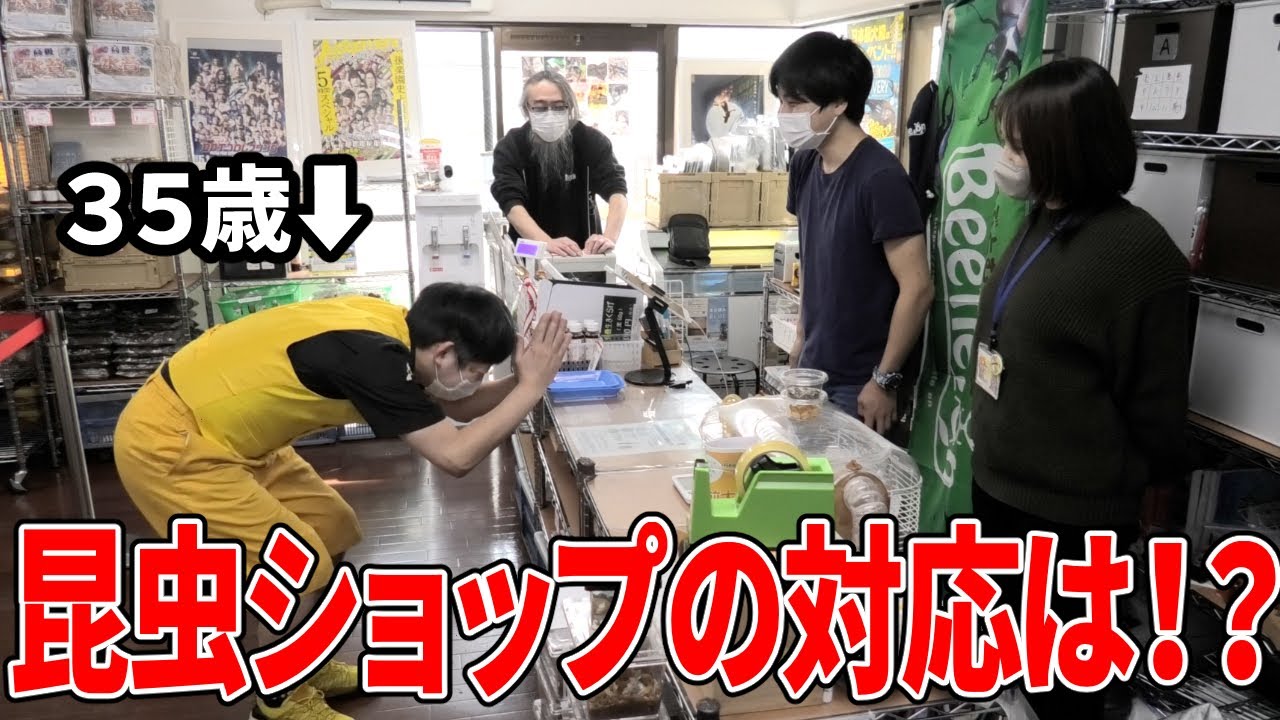 小学生以下限定のクワガタ相撲大会におじさんが参加申請した結果