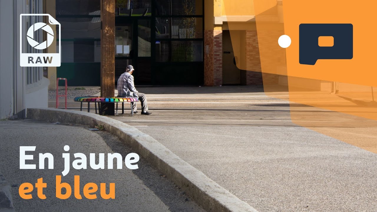 📷 En jaune et bleu - DTR #6