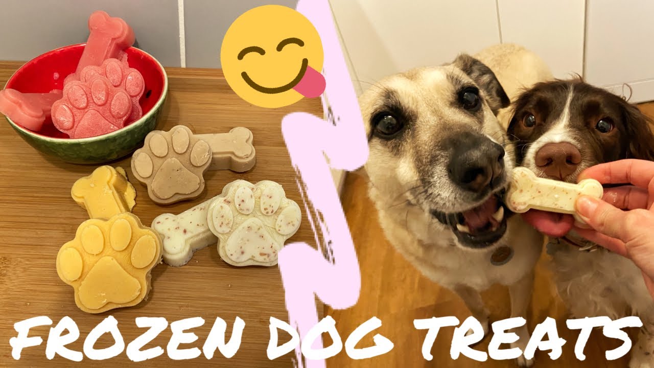 FOUR EASY DIY FROZEN DOG TREATS | How to make dog ice lollies