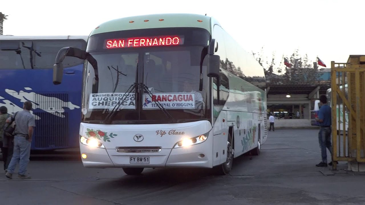 Young Man JNP6126L Starliner / Nilahue