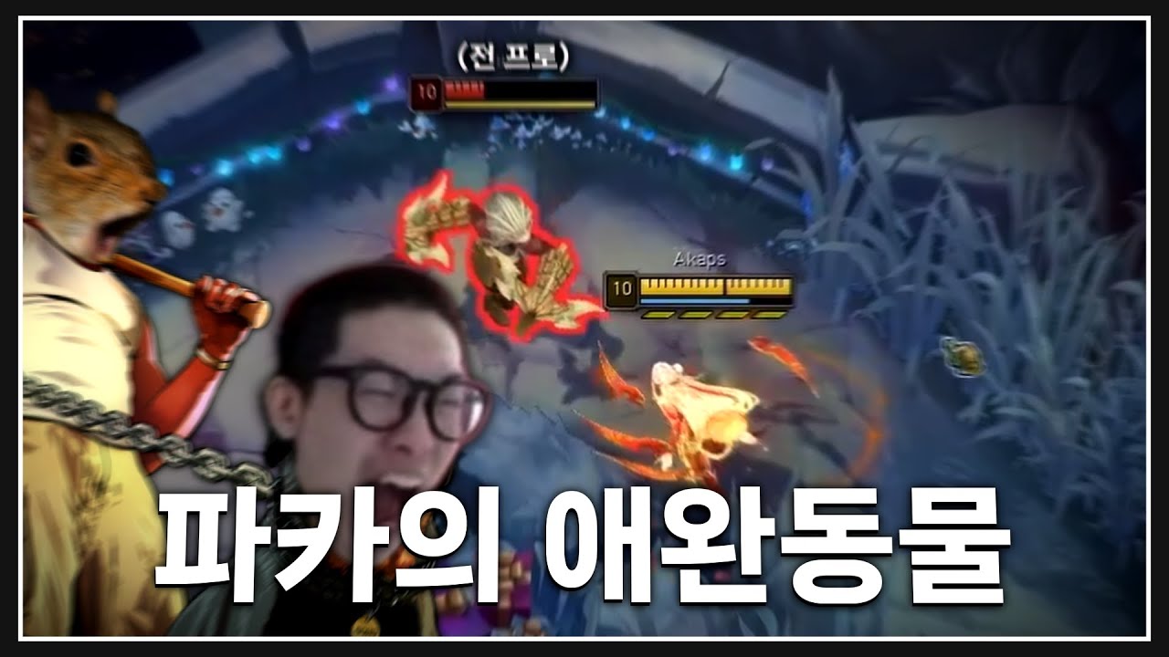 파카가 키우는 암베사의 정체는? 🥰
