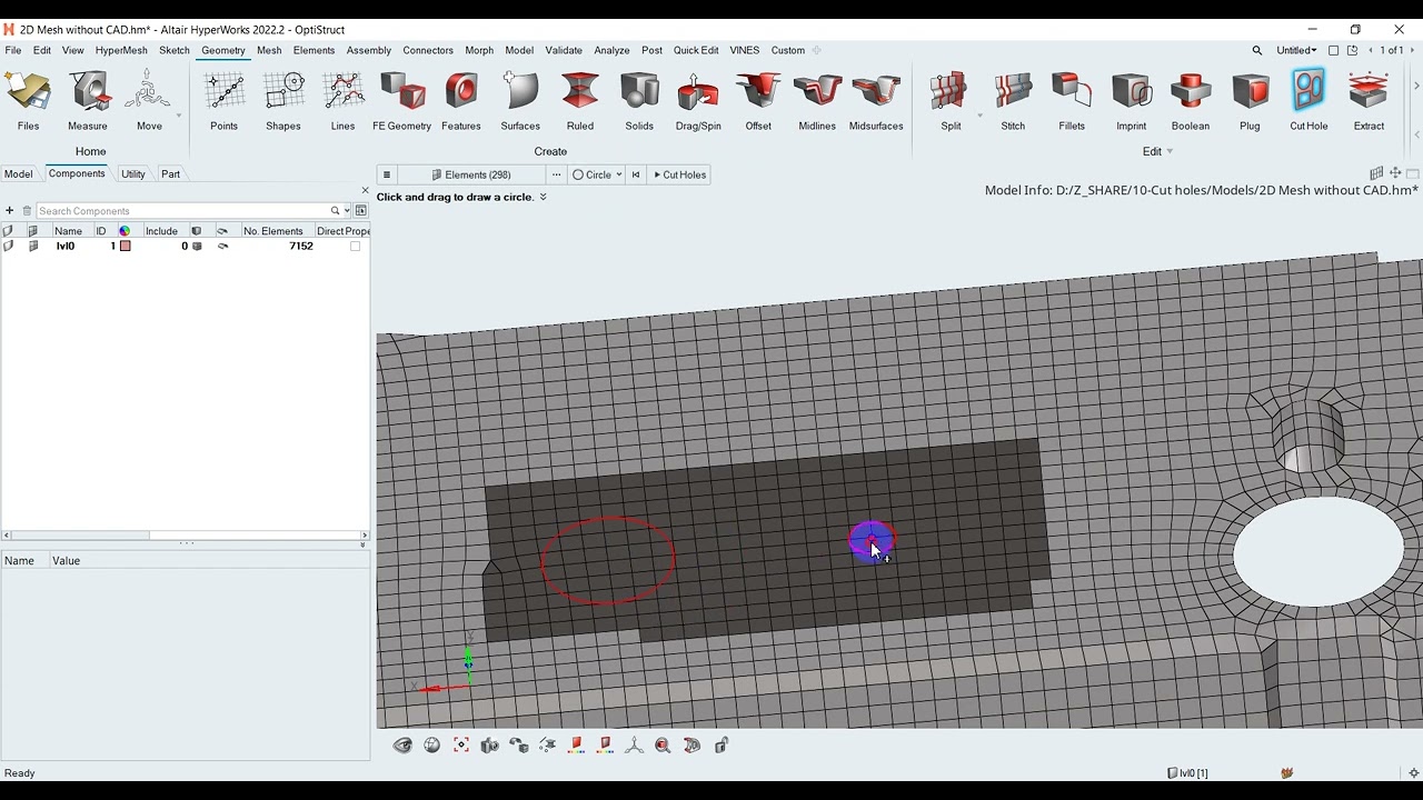 HyperMesh: Trim holes on surface mesh