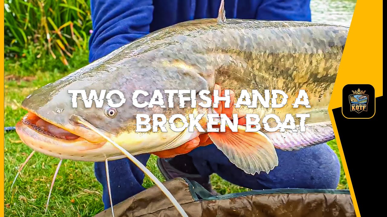 TWO CATS AND A BROKEN BOAT! || CACKLE HILL LAKES