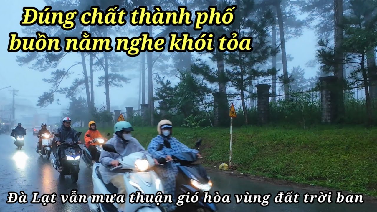 Đà Lạt mùa này đúng chất thành phố buồn nằm nghe khói tỏa. Vùng đất trời ban