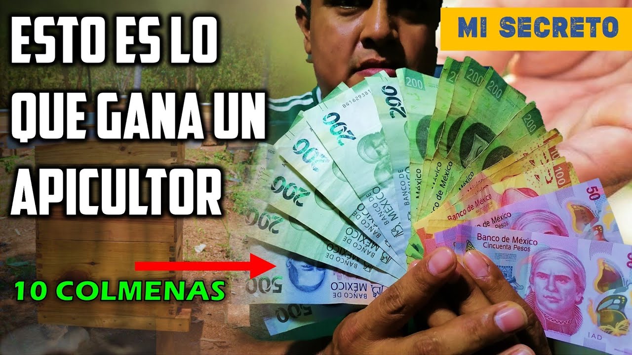 Cuando Dinero Gana un Apicultor con 10 COLMENAS
