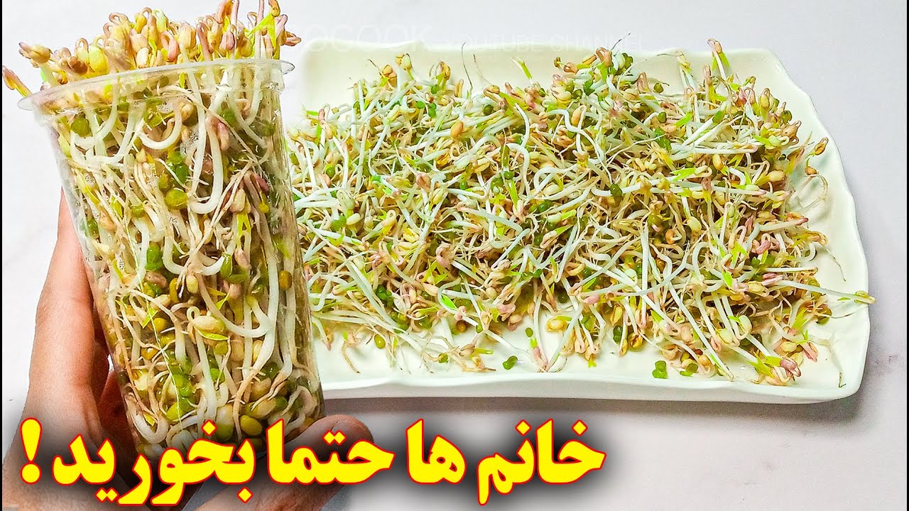 طرز تهیه جوانه ماش | آموزش آشپزی ایرانی | Sprout Mung Beans