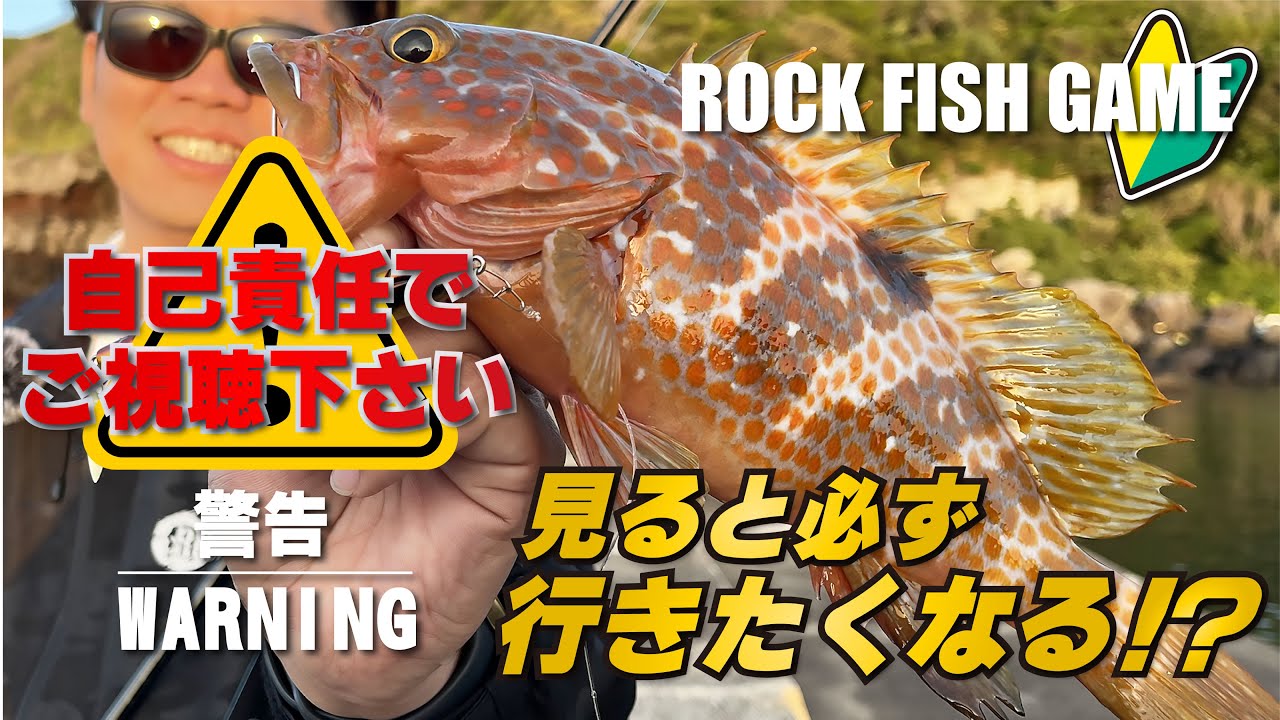 超カンタン!!堤防からキジハタを釣るノウハウがギュッと詰まってます!!【濃縮】