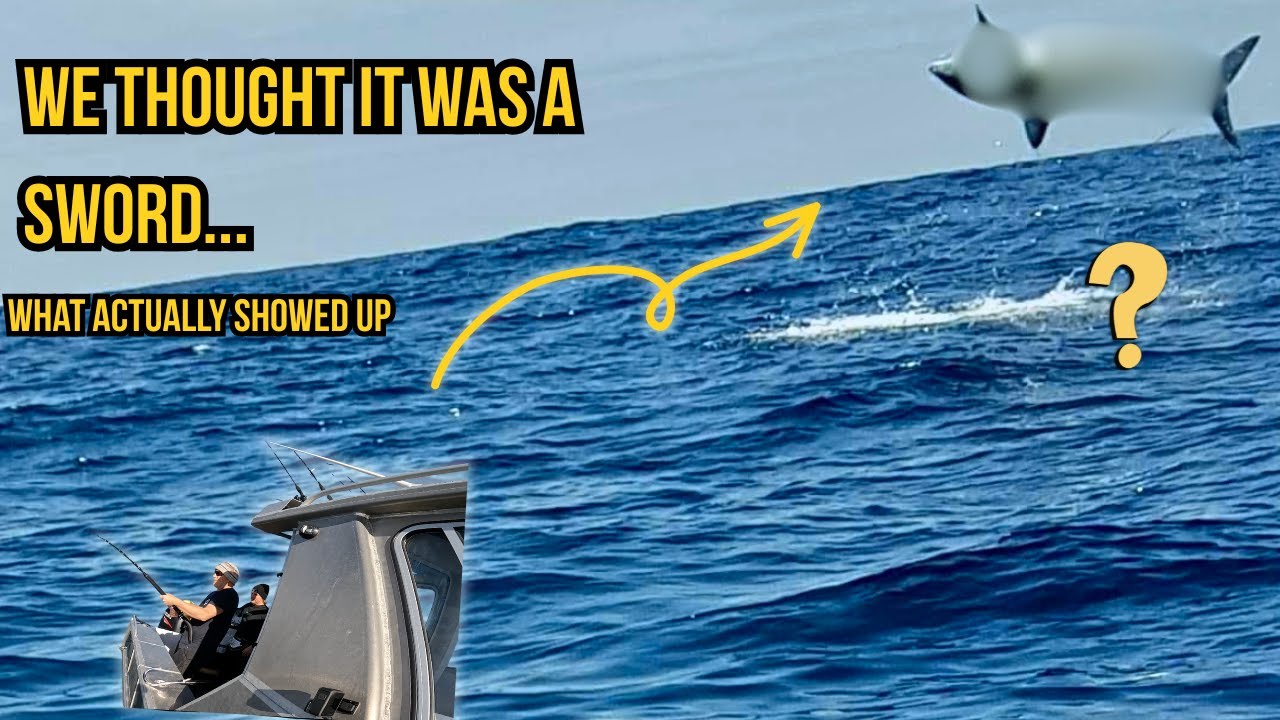 Thought It Was a Sword… Then THIS Launched Out! Eaglehawk neck