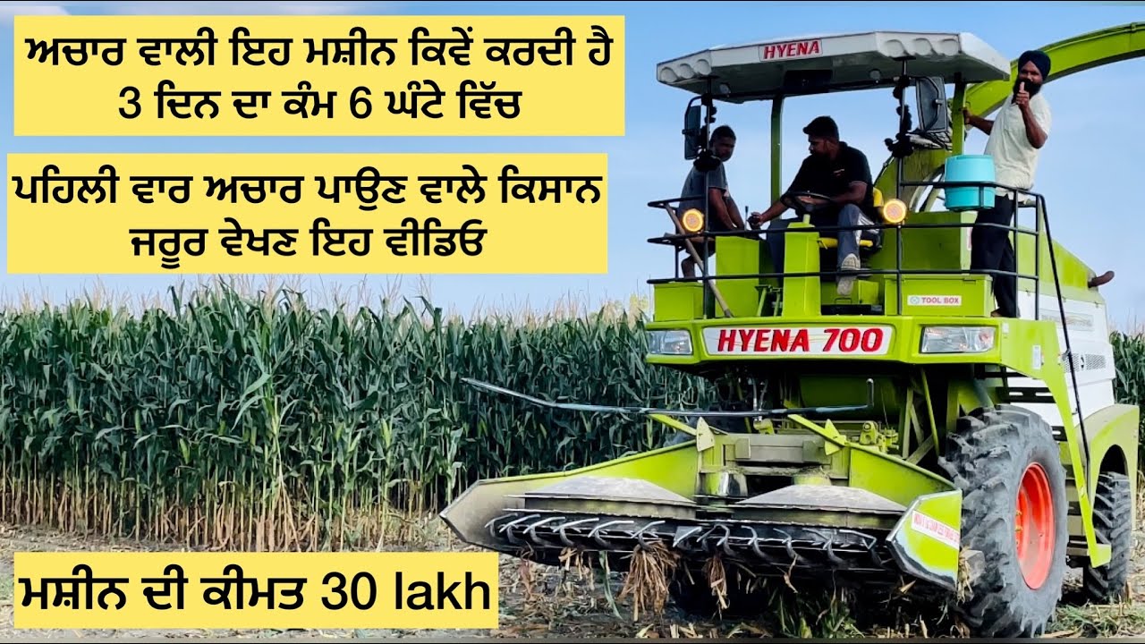 Hyena Machine Harvesting Corn 🌽Silage | Makki da achaar full Video #corn #hyena #cornsilage