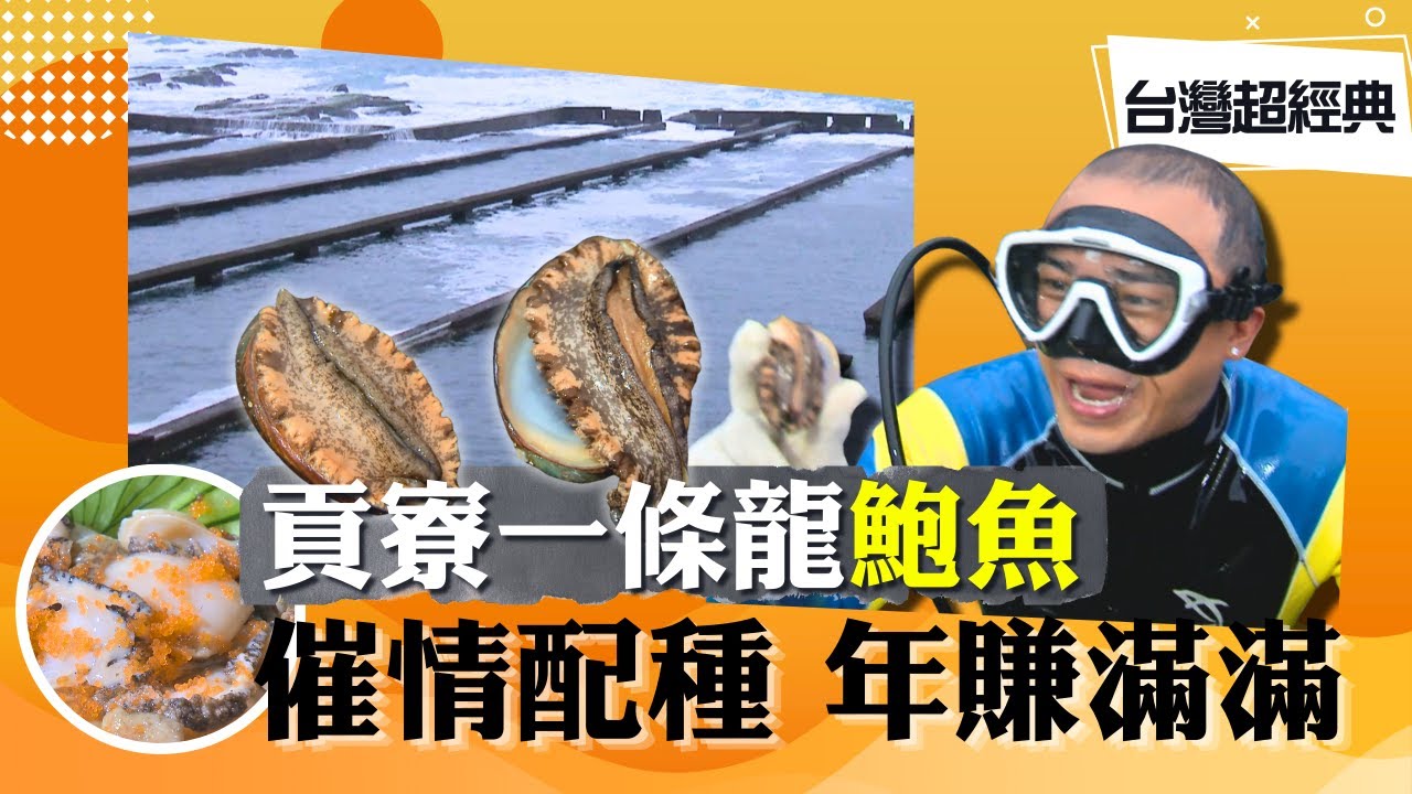 《台灣超經典》【鮑魚達人一條龍  大海野放頭好壯壯 / 強力噴射龍鬚菜  越冷長越快 /  拉花還是作畫?   一杯咖啡值得等待】 台灣第一等