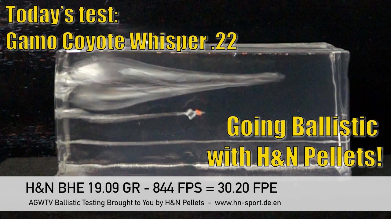 AirgunWebTV Going Ballistic - Gamo Coyote Whisper PCP - Hunting Pellet Ballistics Tests!