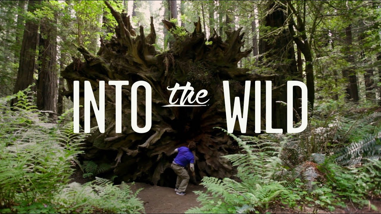 Into The Wild [Tempest Freerunning] Redwood National Forest