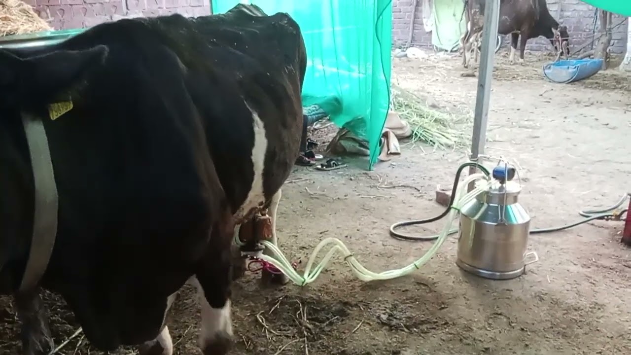 6 માર્ચ, 2026