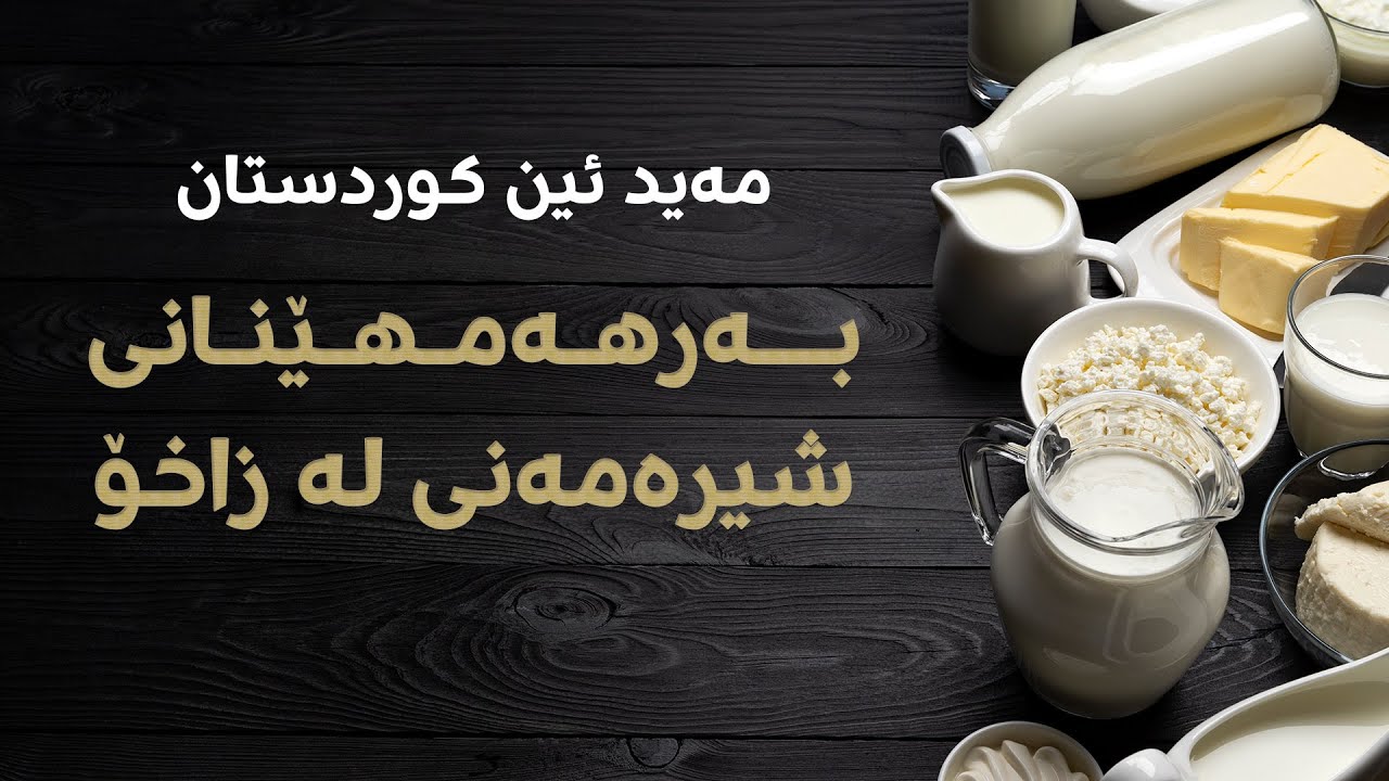 Made In Kurdistan | کارگەی بەرهەمهێنانی شیرەمەنی لە زاخۆ