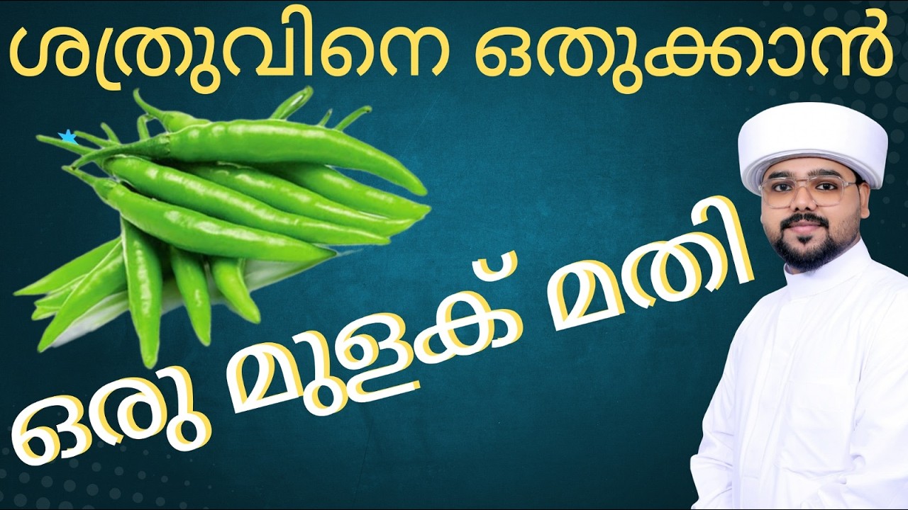 നിങ്ങൾ കാത്തിരുന്ന അമൽ ശത്രുവിനെ ഓടിക്കാൻ ഒരു മുളക് മതി#irbad #motivation