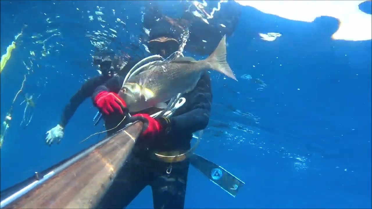 Hitman spearfishing - 3 ωραίες βολές (2 συναγριδες κ στηρα) *