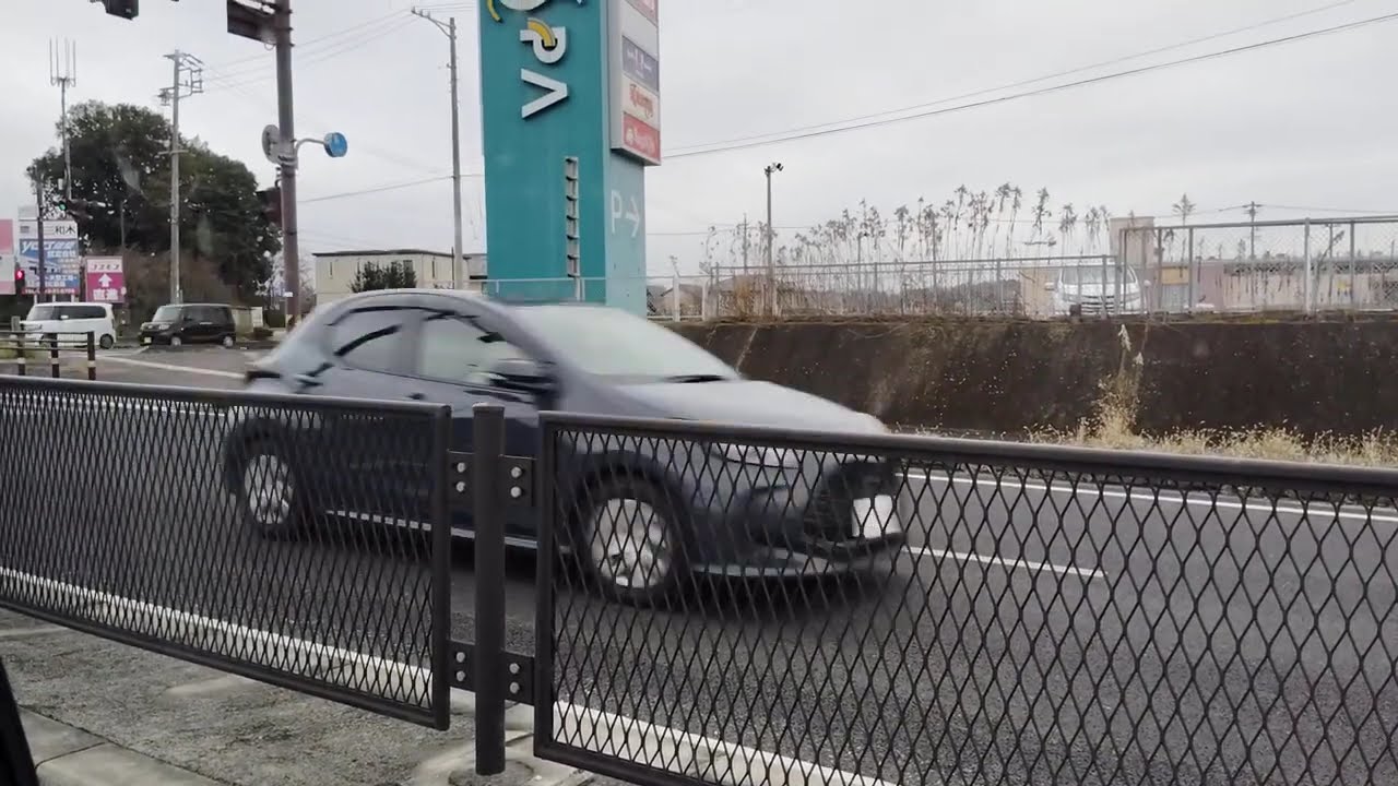 Japan viewing video 