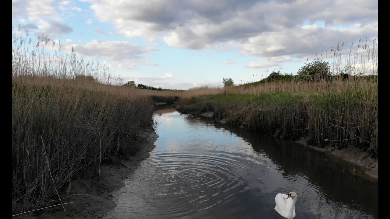 Following the River Cray from Crayford to the Thames