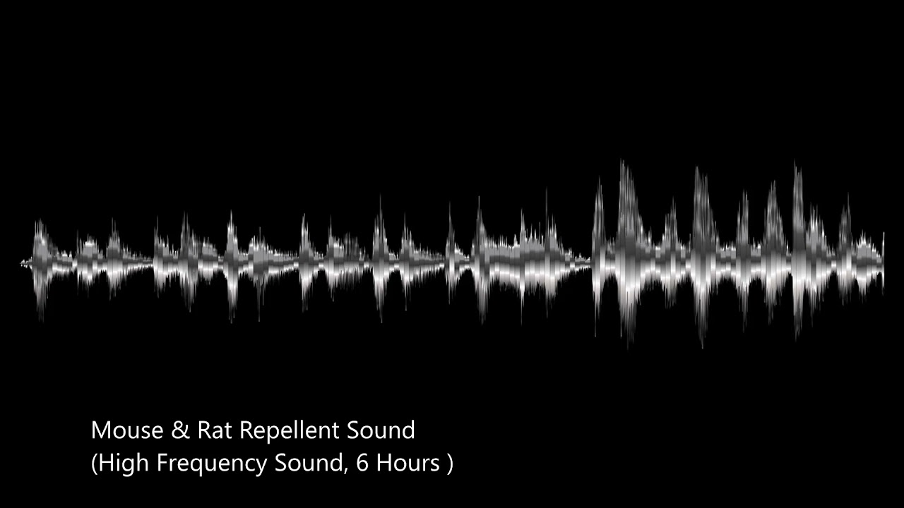 Mouse & Rat Ultrasonic Repellent Sound | 6 Hours | 20000Hz |