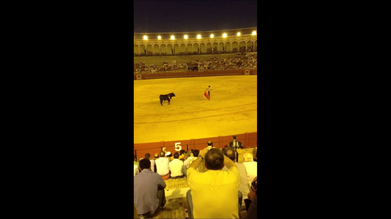 Spain Bullfight