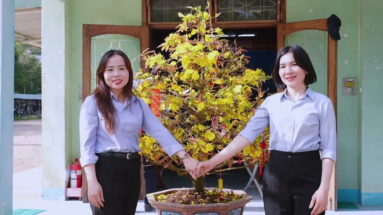 Gỗ Bông Hồng   Quy Nhơn 2026