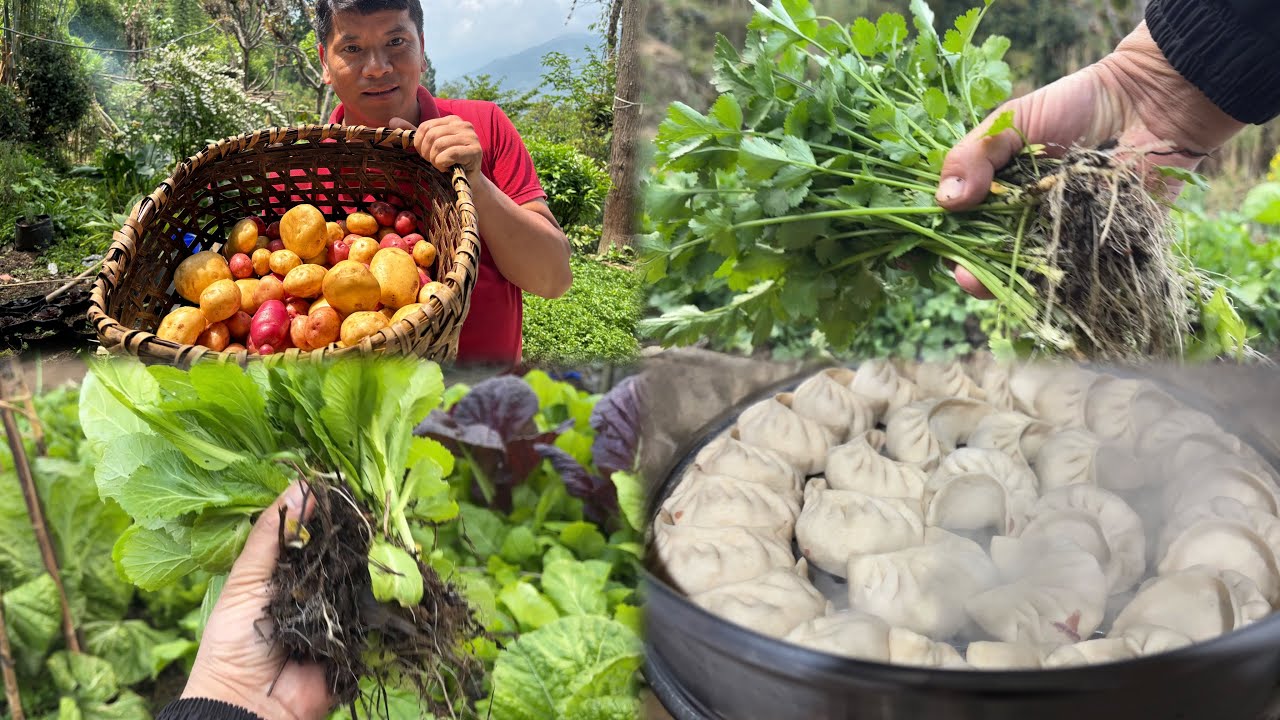 Rimbick Rural Village Daily Life||Rimbick To Kurseong Trip||