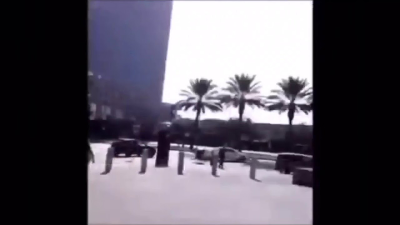 Funny butterfly vine