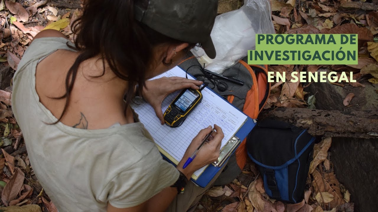 Investigación y conservación en Senegal
