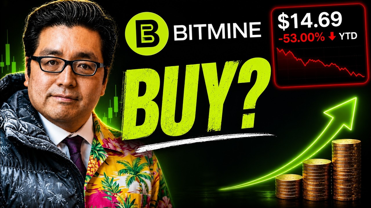 Стоит ли НАКОНЕЦ покупать акции Bitmine? (Обновление BMNR)