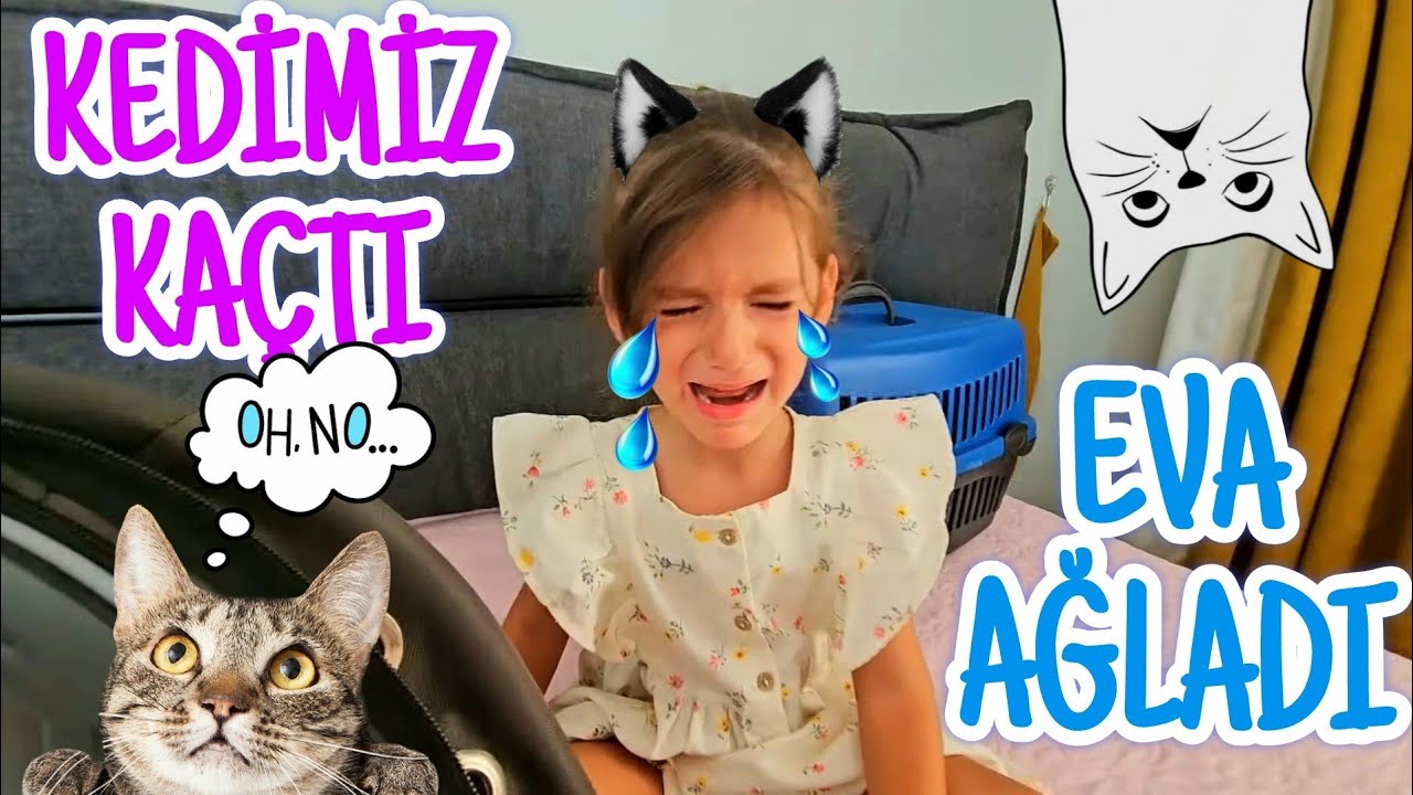 KEDİMİZİ PARKA GÖTÜRMEK İSTEDİK AMA KEDİ SAKLANDI‼️ Eva Çok Üzüldü🥲