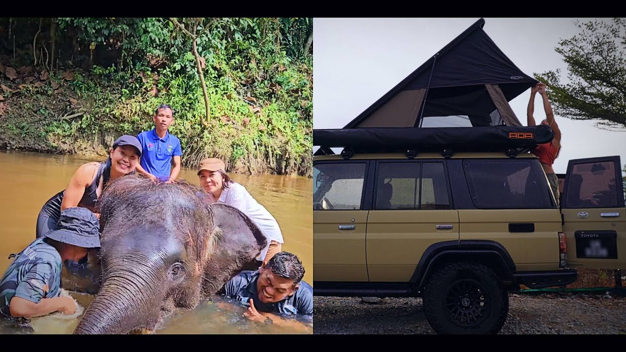 S2E8 : End of the Road Trip! Bathing with Elephant & Forest Retreat