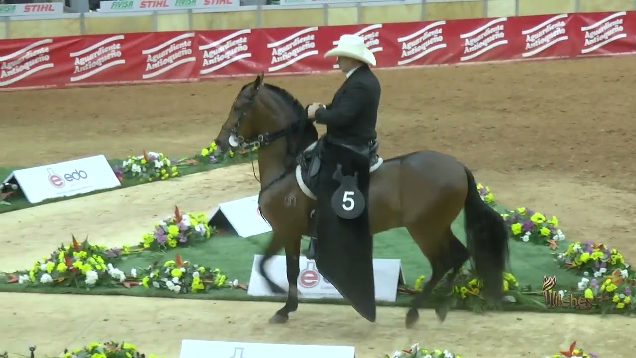 LUNATICO DE LAS ESTRELLAS, CAMPEÓN JOVEN TROTE Y GALOPE 50  EXPOORIENTE GRADO A 2026