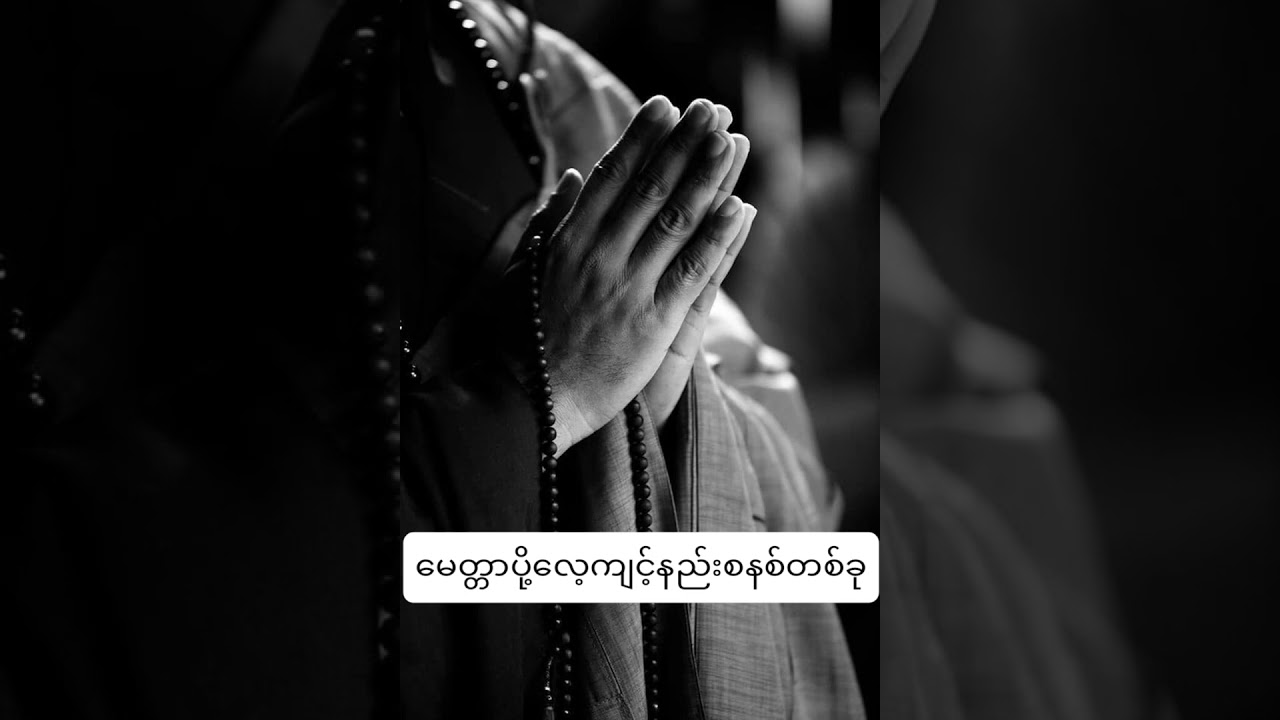 မေတ္တာပို့လေ့ကျင့်နည်းစနစ်တစ်ခု(ပါချုပ်ဆရာတော်ဓမ္မမှတ်စုတို)