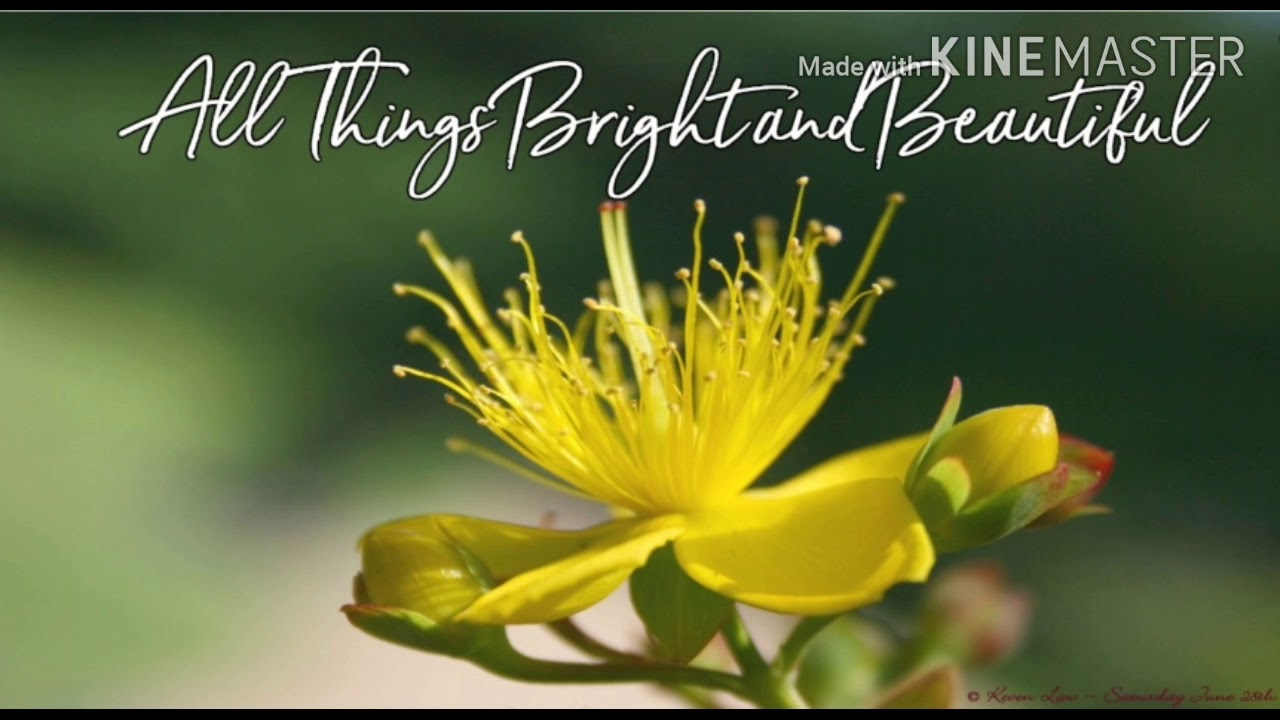All things bright and beautiful  piano with lyrics