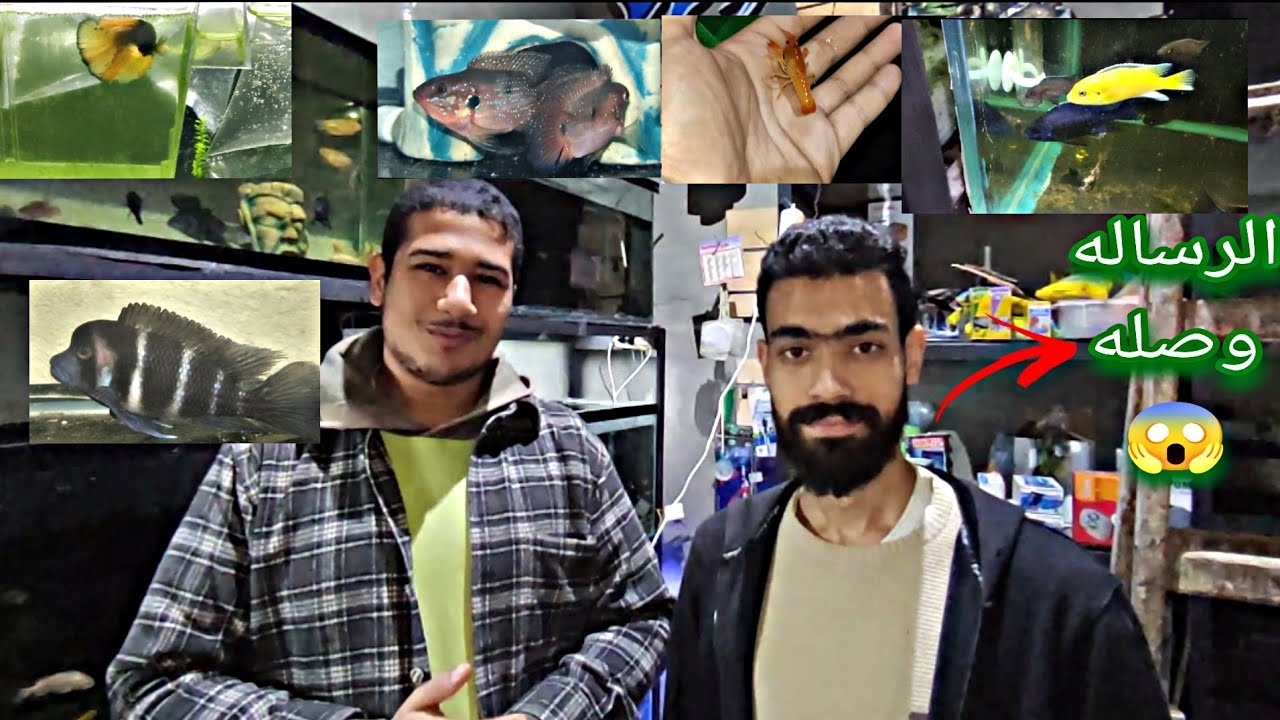 محل عمر عاطف والرساله الجديده في خصم للقناه🤑