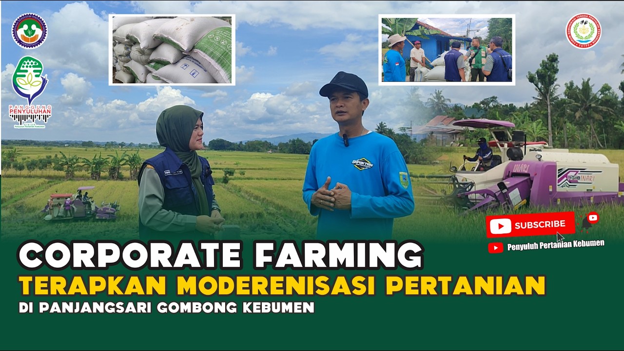 Corporate Farming Terapkan MODERENISASI PERTANIAN di Desa Panjangsari Kecamatan Gombong