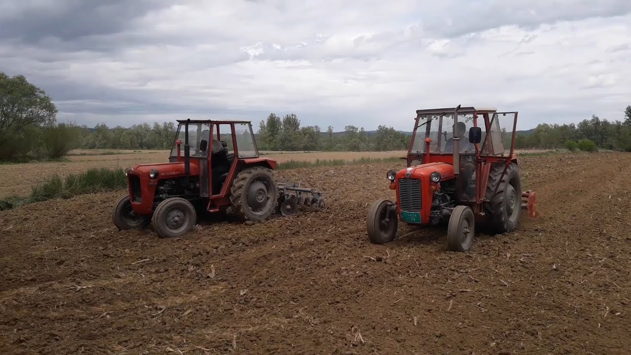 Žurba! Tanjiranje pa freziranje, Marko i Ivan.