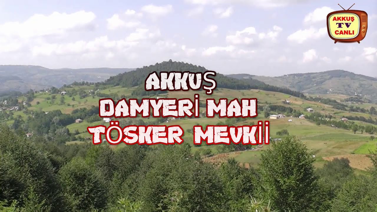 Ordu Akkuş damyeri tösker mevki🌿🌿🌳💞