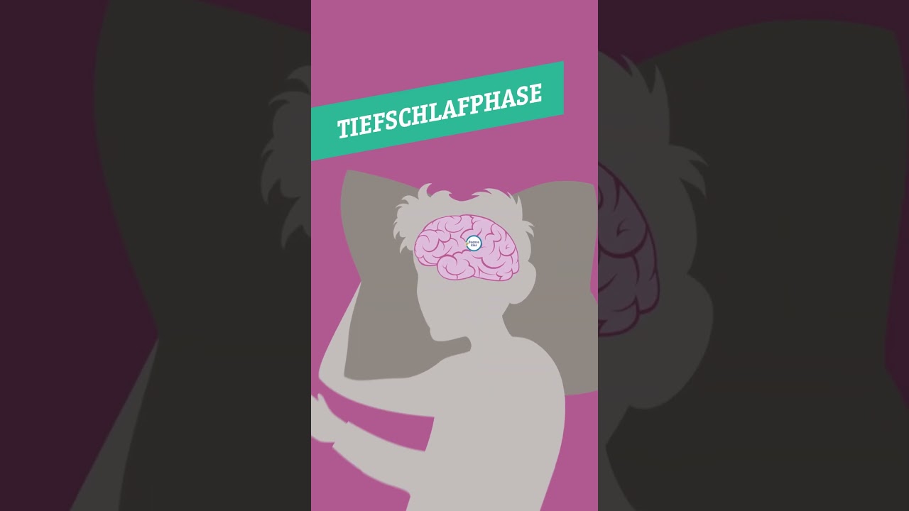 Welche Schlafphasen gibt es? #schlafen #schlaf