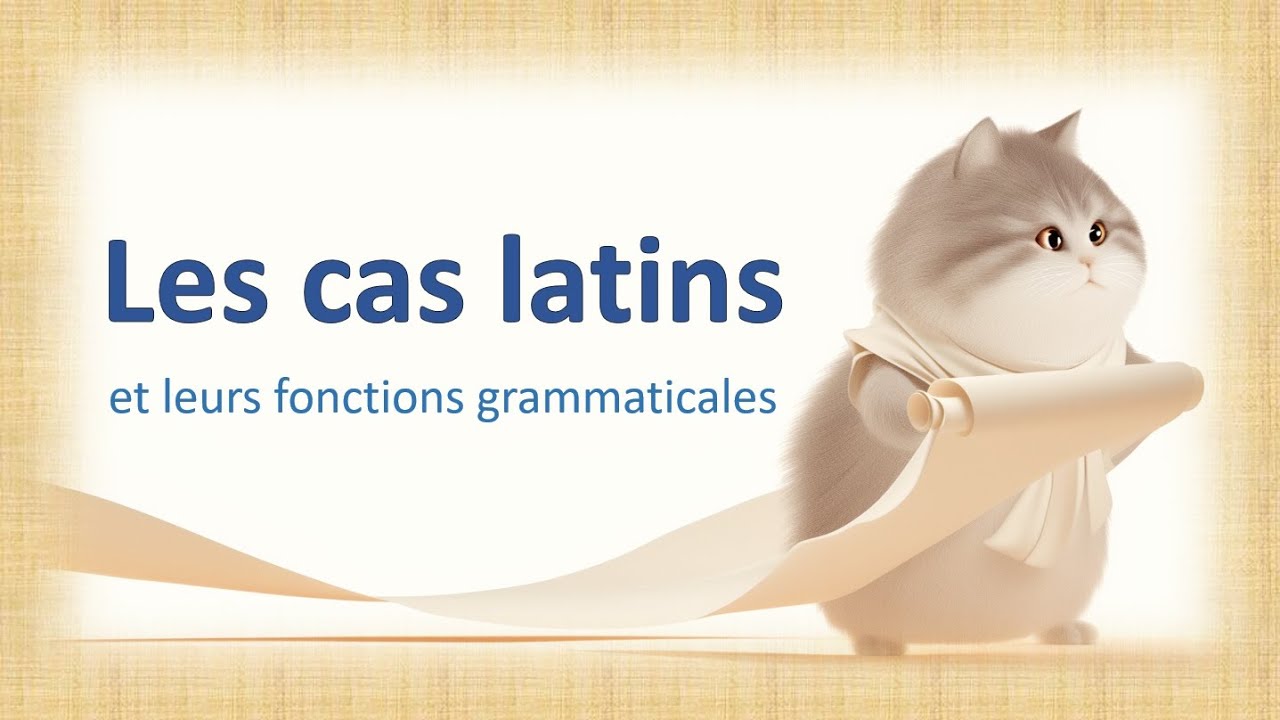 Cas et fonctions en latin