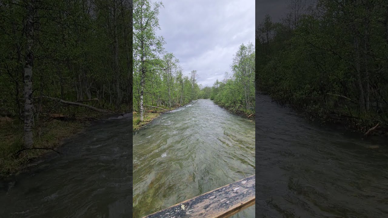 Swollen river and flooded trail - Spring day in Northern Norway #shorts