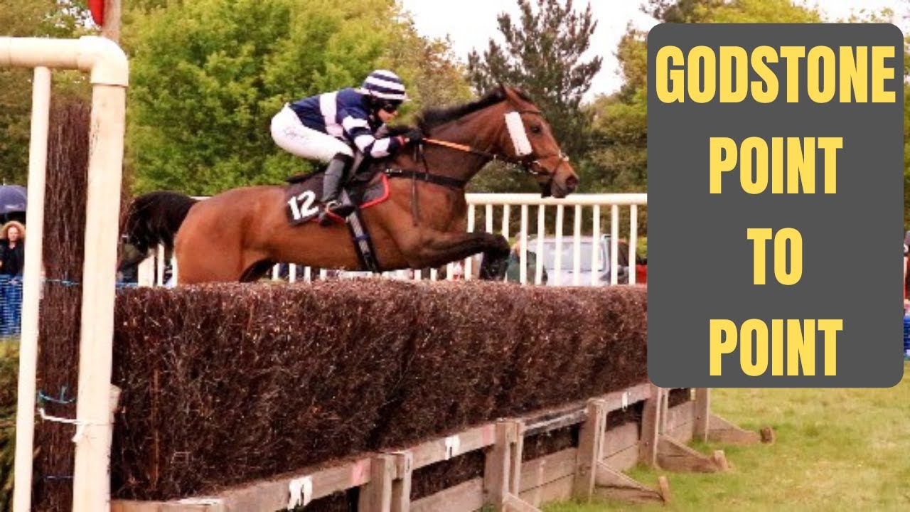 A Day at Godstone Point to Point
