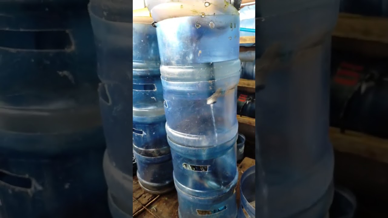 DIY Indoor Vertical Crab Fattening Set-up #crab #crabfarming